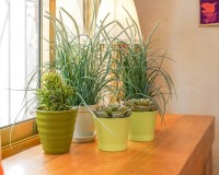 Återförsäljning - Fristående - La Marina - Urb. La Marina