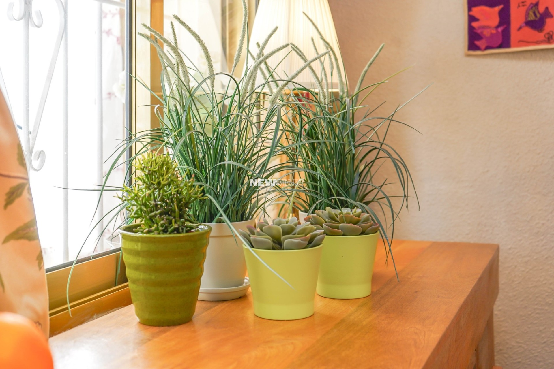 Återförsäljning - Fristående - La Marina - Urb. La Marina