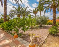 Återförsäljning - Lantligt hus - Gård - Elche - Daimes