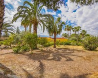 Återförsäljning - Lantligt hus - Gård - Elche - Daimes