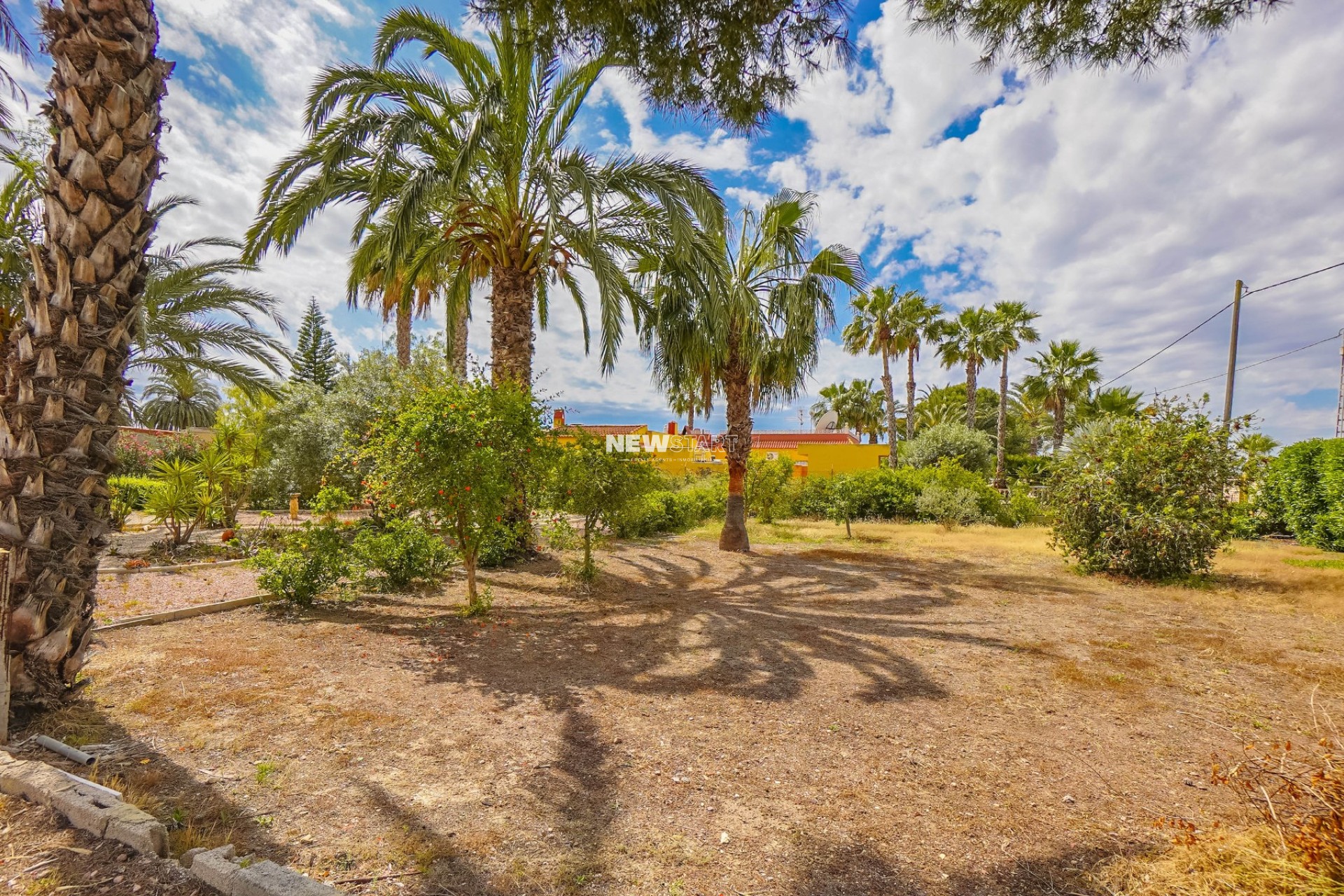 Återförsäljning - Lantligt hus - Gård - Elche - Daimes