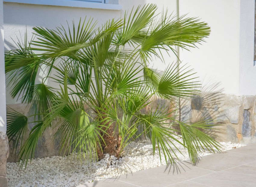 Återförsäljning - Oberoende villa - La Marina - Urb. La Marina