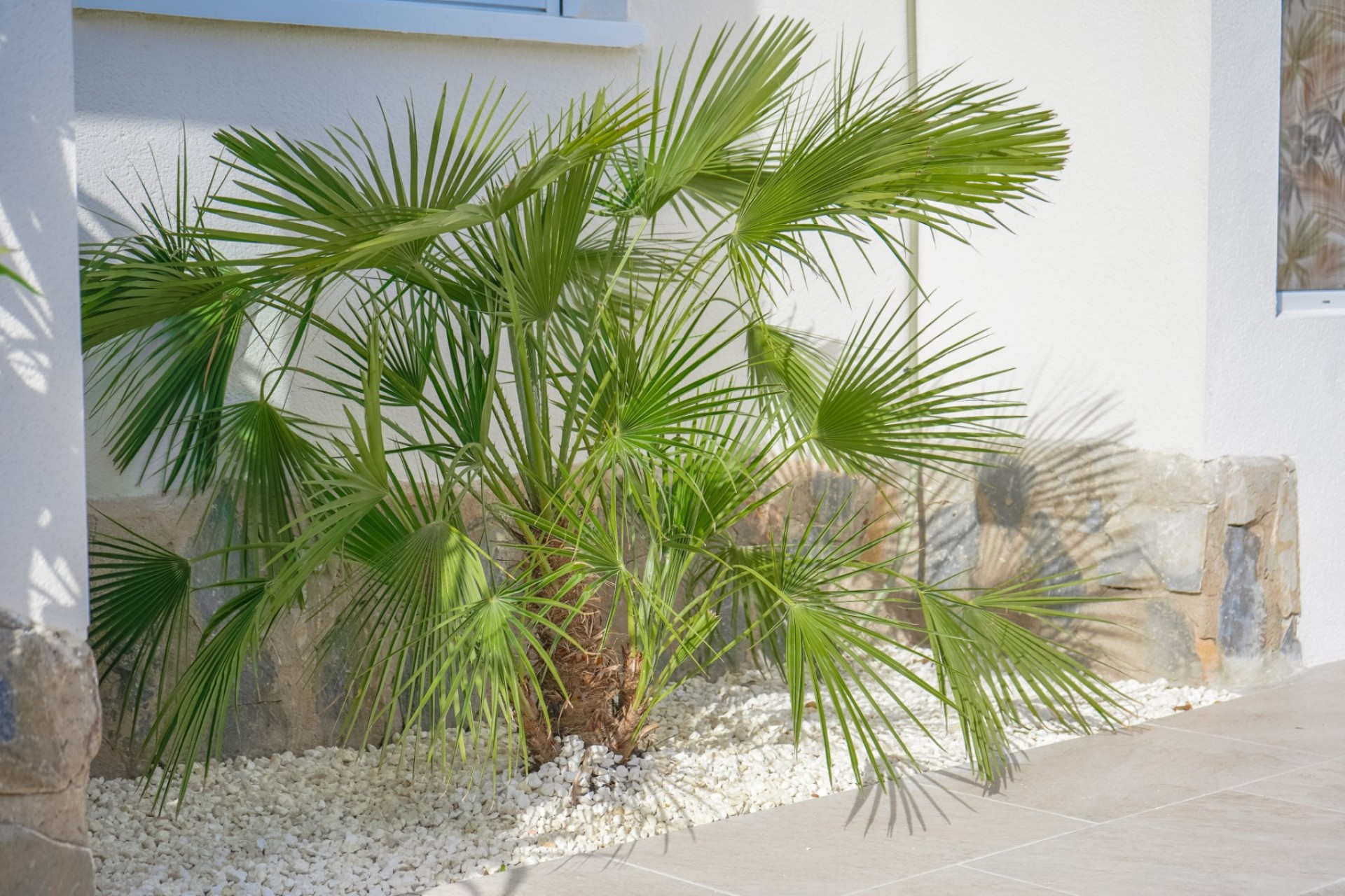 Återförsäljning - Oberoende villa - La Marina - Urb. La Marina