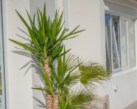 Återförsäljning - Oberoende villa - La Marina - Urb. La Marina