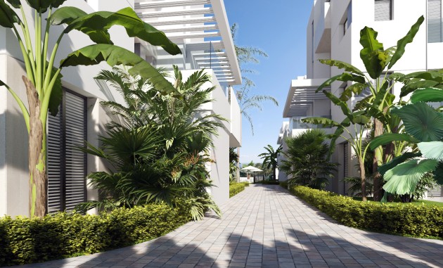 Begane grond - Nieuwbouw Woningen - Torre-Pacheco - Torre-Pacheco