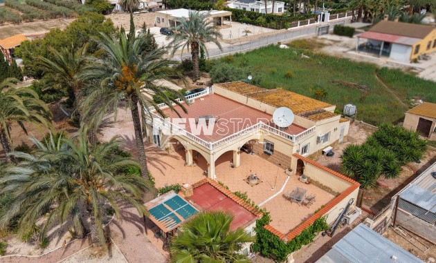 Country House-Finca - Resale - Elche - Daimes