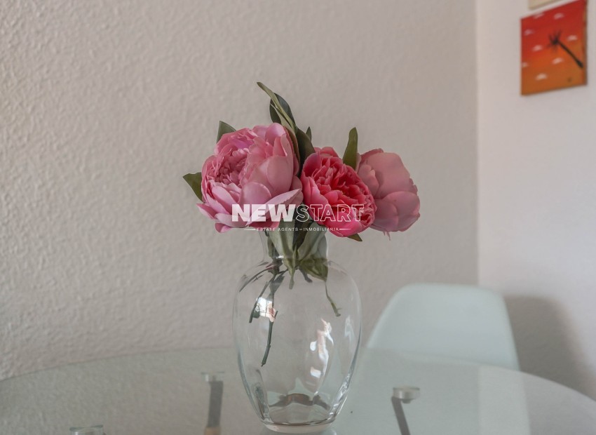 Herverkoop - Appartement - San Fulgencio