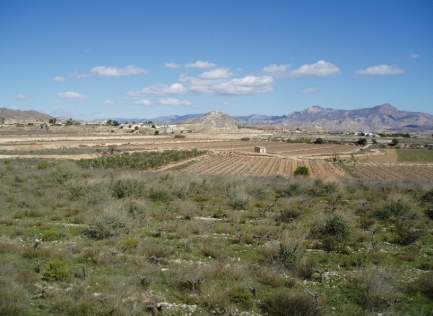 Herverkoop - Grondstuk - Alicante - La Romana