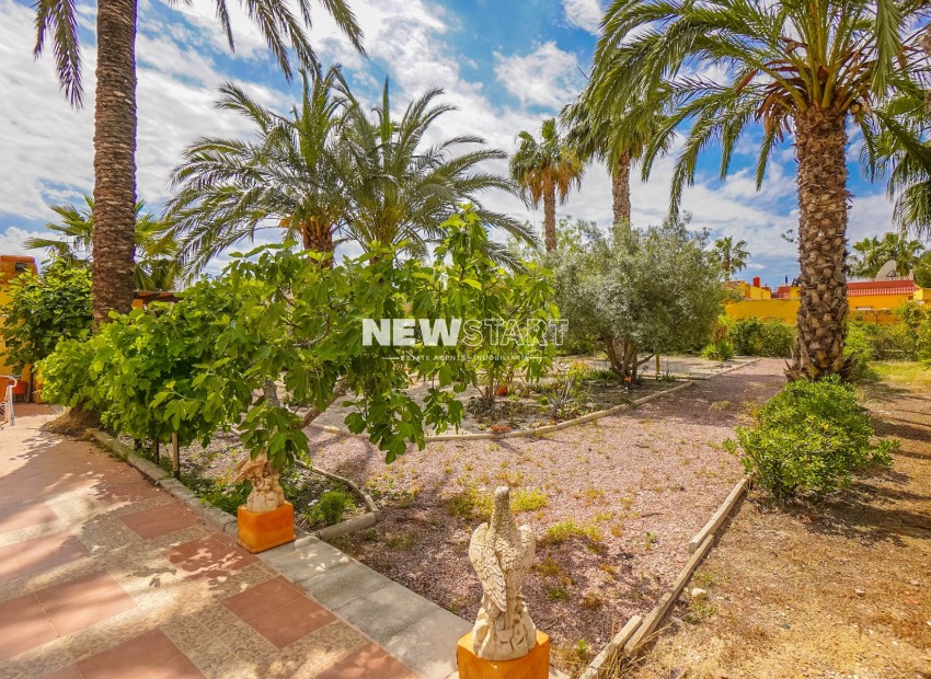 Herverkoop - Landhuis-Finca - Elche - Daimes