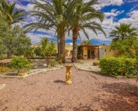 Herverkoop - Landhuis-Finca - Elche - Daimes