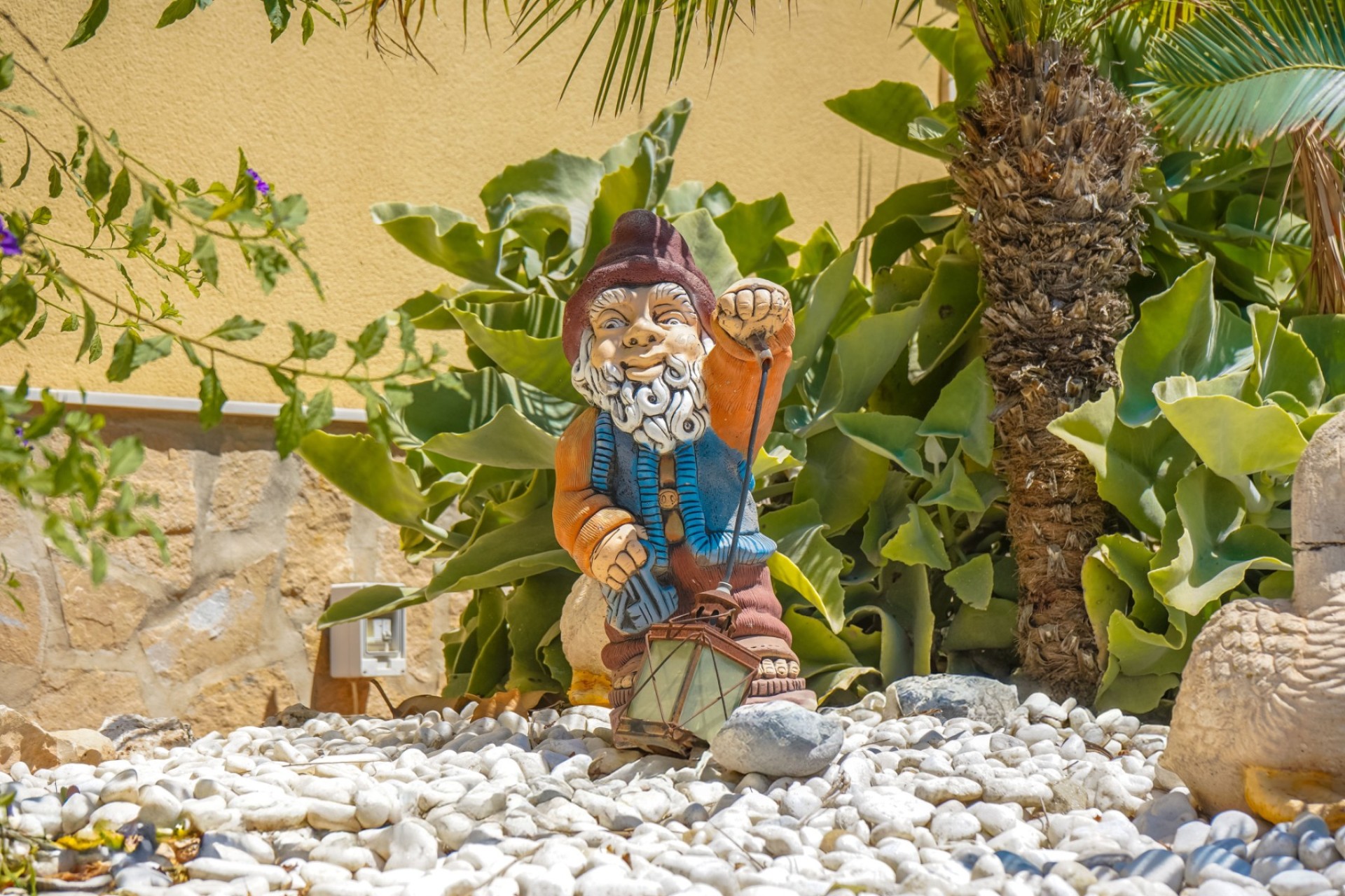 Herverkoop - Landhuis-Finca - Elche - La Hoya
