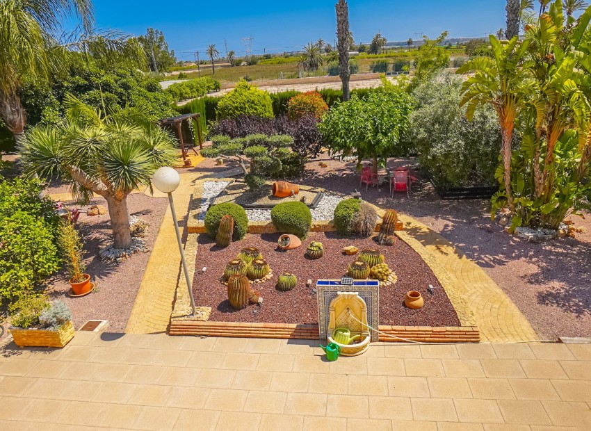 Herverkoop - Landhuis-Finca - Elche - La Hoya