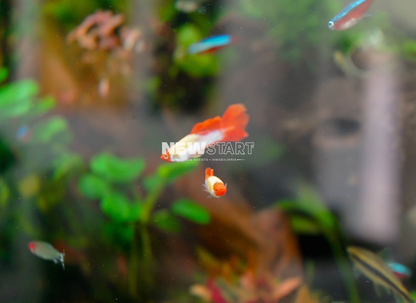 Herverkoop - Vrijstaand - La Marina - Urb. La Marina