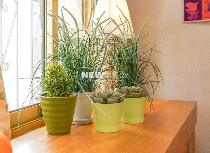 Herverkoop - Vrijstaand - La Marina - Urb. La Marina