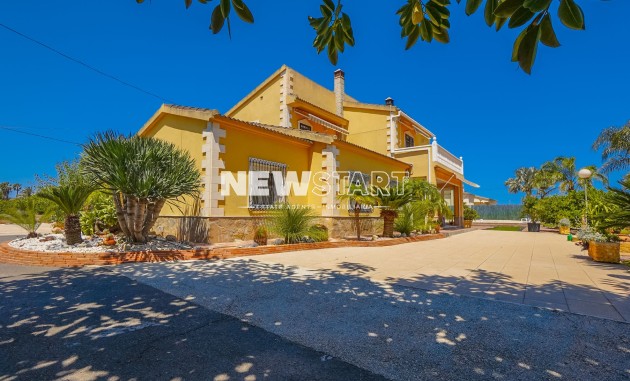 Maison de campagne-Finca - Revente - Elche - NS1674