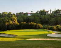 Neue Gebäude - Erdgeschoss - Algorfa