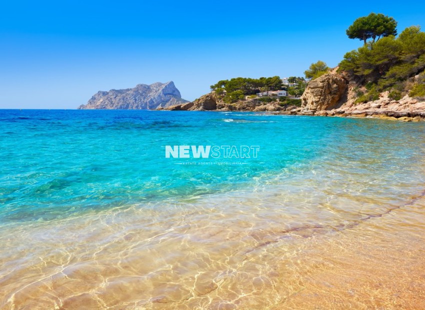 Neue Gebäude - Erdgeschoss - Algorfa