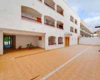 Neue Gebäude - Erdgeschoss - San Fulgencio