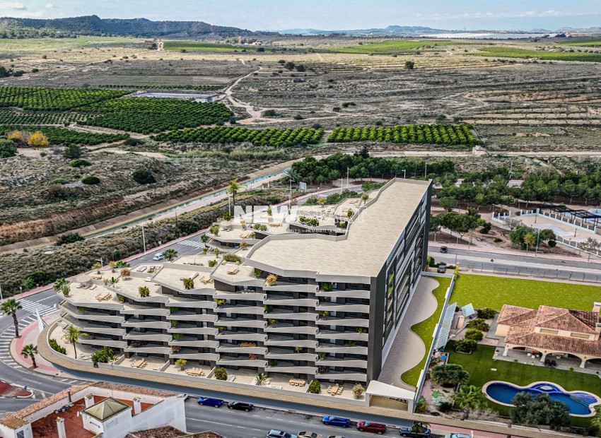 Neue Gebäude - Erdgeschoss - San Miguel de Salinas