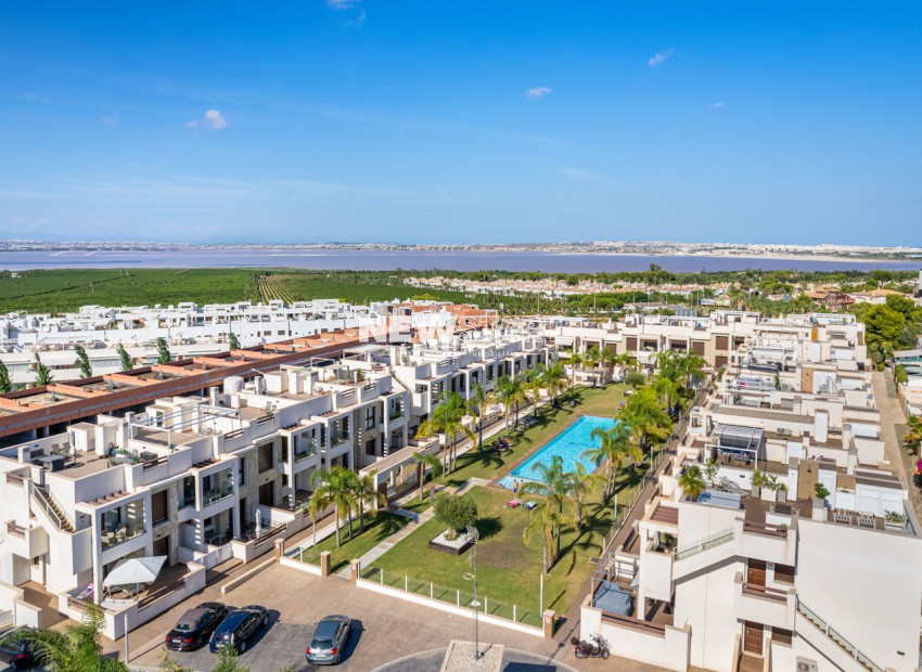 Neue Gebäude - Erdgeschoss - Torrevieja