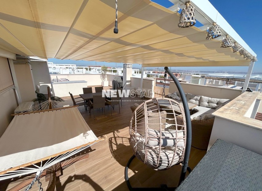 Neue Gebäude - Erdgeschoss - Torrevieja