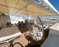 Neue Gebäude - Erdgeschoss - Torrevieja