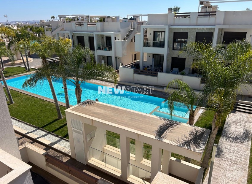 Neue Gebäude - Erdgeschoss - Torrevieja
