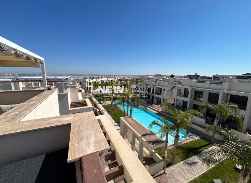 Neue Gebäude - Erdgeschoss - Torrevieja
