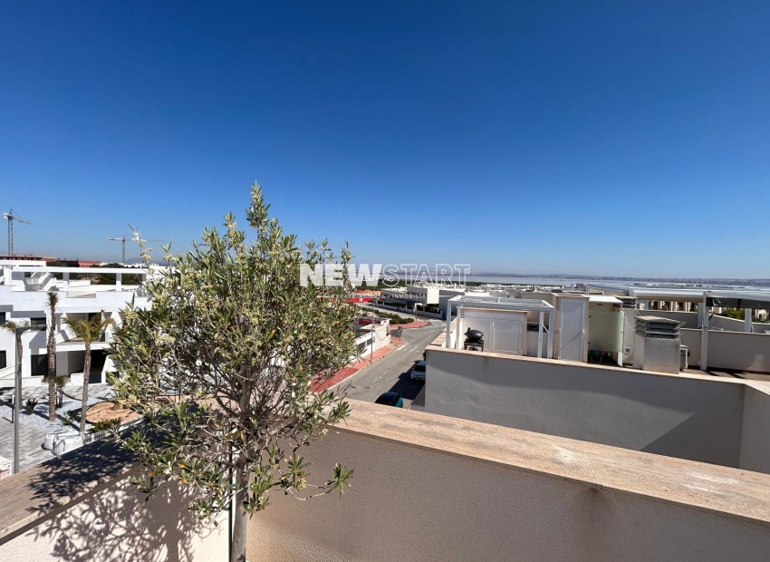 Neue Gebäude - Erdgeschoss - Torrevieja
