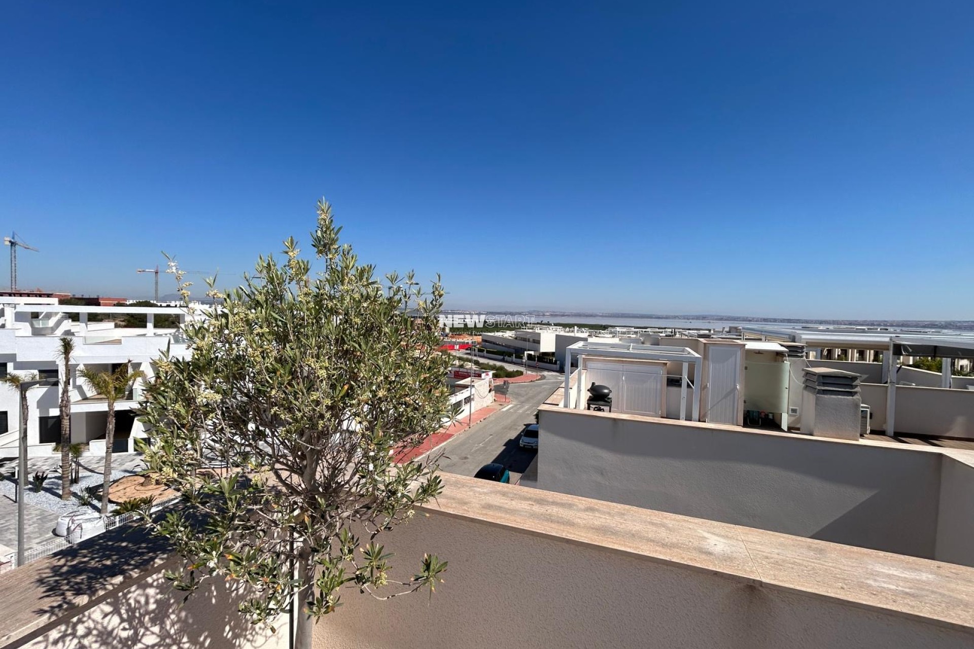 Neue Gebäude - Erdgeschoss - Torrevieja