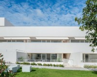 Neue Gebäude - Erdgeschoss - Torrevieja
