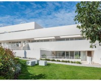 Neue Gebäude - Erdgeschoss - Torrevieja
