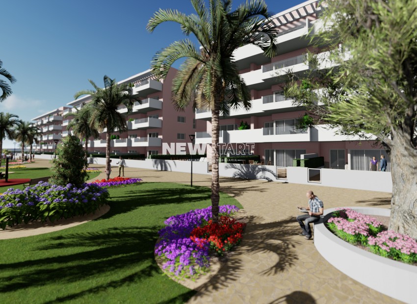 Neue Gebäude - Penthouse - Guardamar del Segura