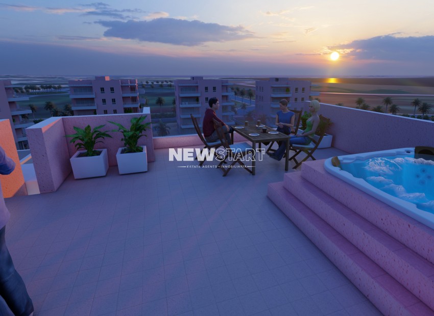 Neue Gebäude - Penthouse - Guardamar del Segura