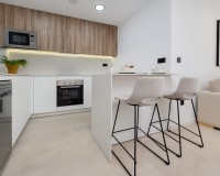 Neue Gebäude - Penthouse - Los Alcázares