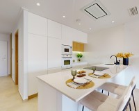 Neue Gebäude - Penthouse - Pilar de la Horadada