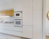 Neue Gebäude - Penthouse - Pilar de la Horadada