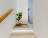 Neue Gebäude - Penthouse - Pilar de la Horadada