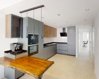 Neue Gebäude - Penthouse - Pilar de la Horadada