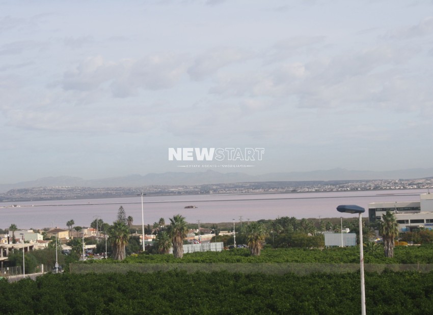 Neue Gebäude - Reihenhaus - Torrevieja