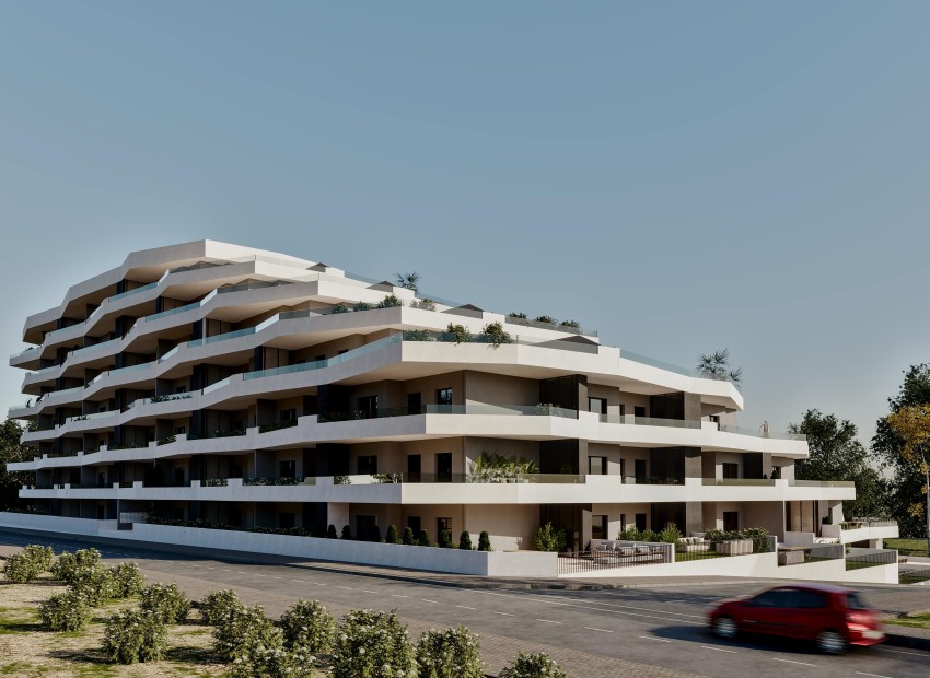 Neue Gebäude -  - San Miguel de Salinas