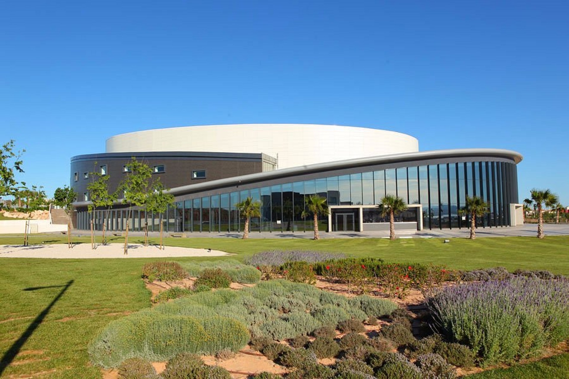 Neue Gebäude -  - Torrevieja