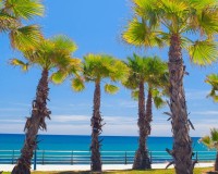 Neue Gebäude - Wohnung - Cabo Roig
