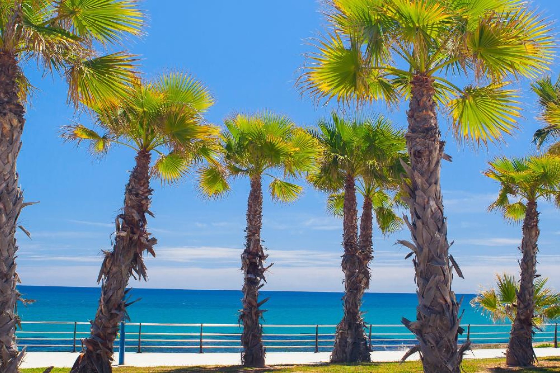 Neue Gebäude - Wohnung - Cabo Roig