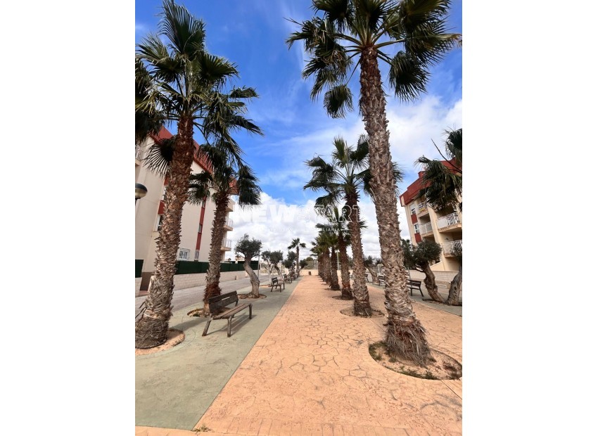 Neue Gebäude - Wohnung - Orihuela Costa