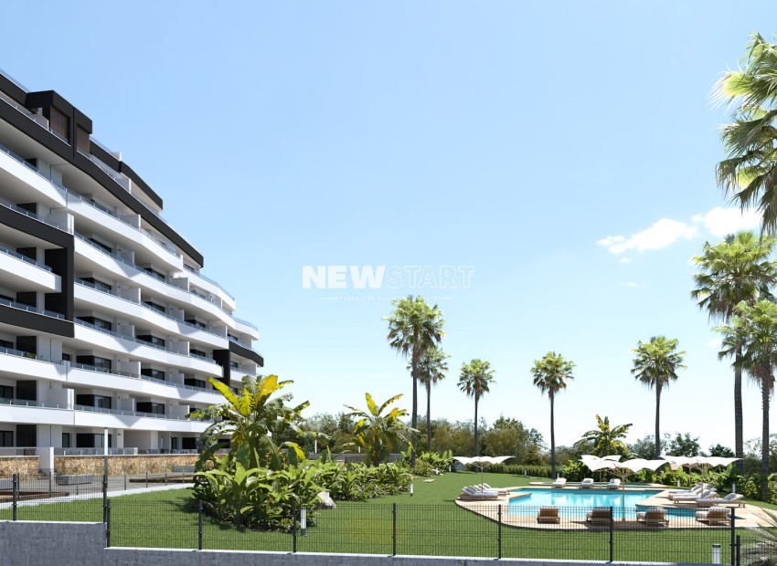 Neue Gebäude - Wohnung - San Miguel de Salinas