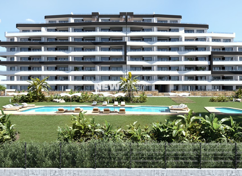 Neue Gebäude - Wohnung - San Miguel de Salinas