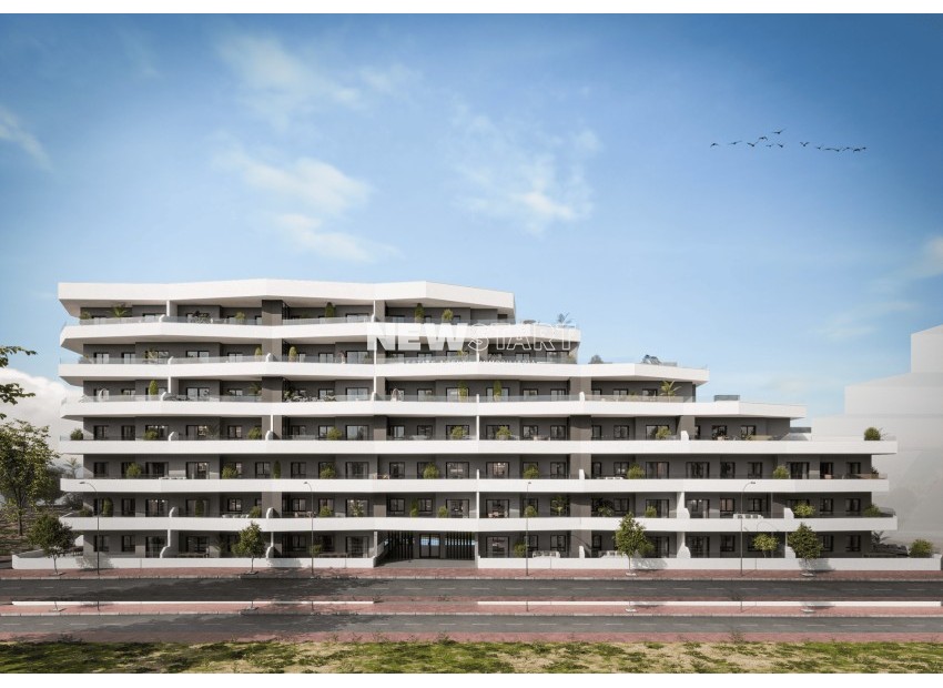 Neue Gebäude - Wohnung - San Miguel de Salinas