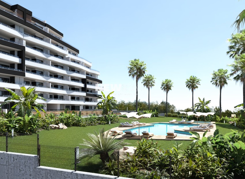Neue Gebäude - Wohnung - San Miguel de Salinas
