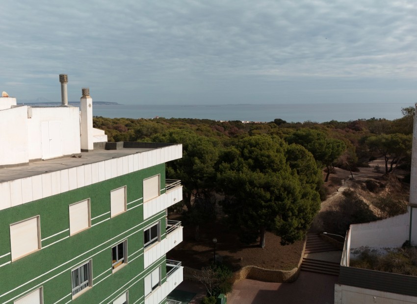 New Build - Apartment - Guardamar del Segura